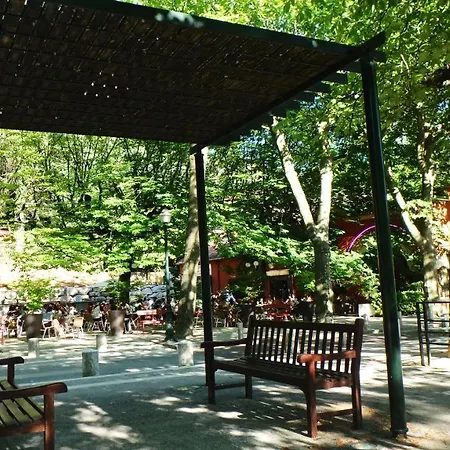 La Maison Du 13 Ter Hébergement de vacances *